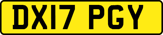 DX17PGY