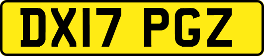 DX17PGZ