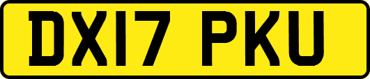 DX17PKU