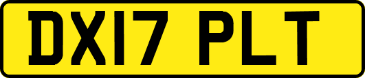 DX17PLT