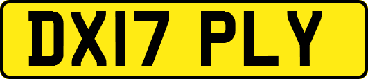 DX17PLY