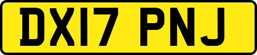 DX17PNJ
