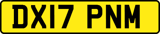 DX17PNM