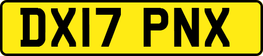 DX17PNX