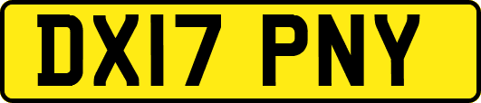 DX17PNY