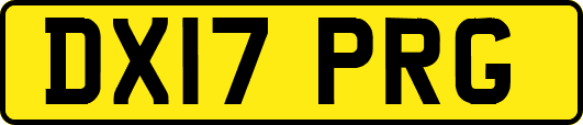 DX17PRG