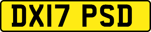 DX17PSD