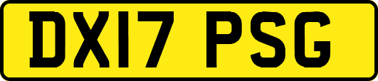 DX17PSG