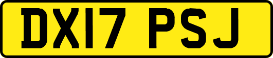 DX17PSJ