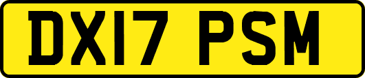 DX17PSM