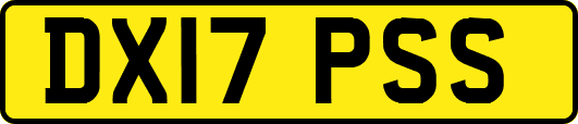 DX17PSS
