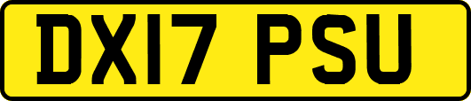 DX17PSU
