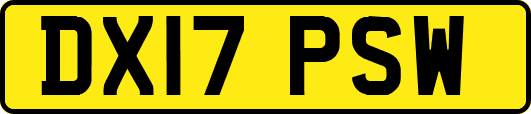 DX17PSW