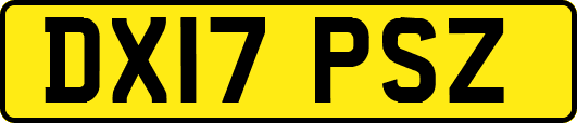 DX17PSZ