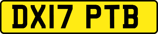 DX17PTB