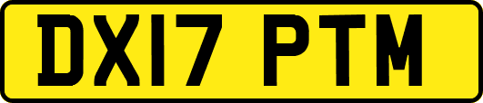 DX17PTM