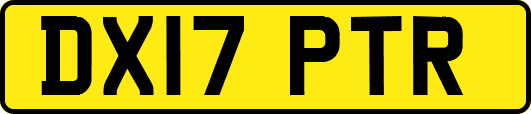 DX17PTR