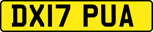 DX17PUA
