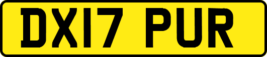 DX17PUR