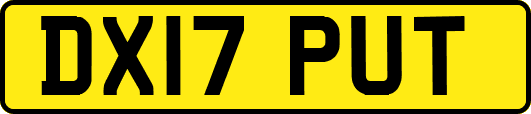 DX17PUT