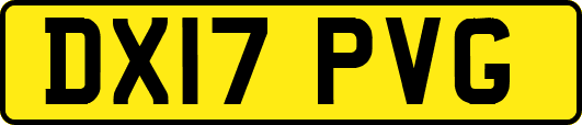 DX17PVG