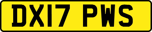 DX17PWS