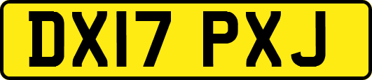 DX17PXJ