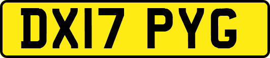 DX17PYG