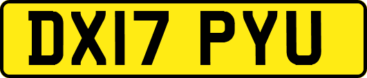 DX17PYU