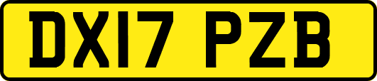 DX17PZB