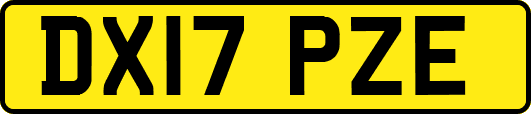 DX17PZE