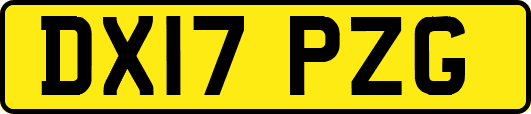 DX17PZG