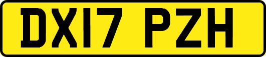 DX17PZH