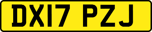 DX17PZJ