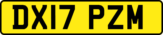 DX17PZM