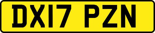 DX17PZN