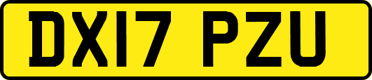 DX17PZU