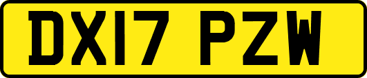 DX17PZW