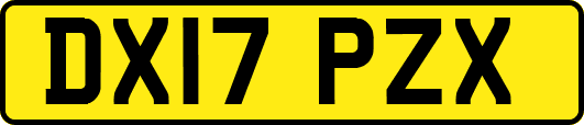 DX17PZX