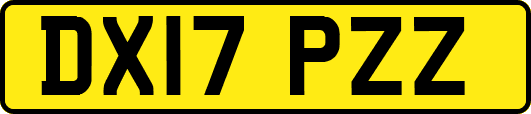 DX17PZZ