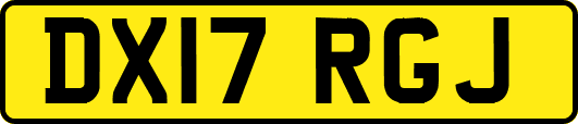 DX17RGJ