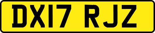 DX17RJZ