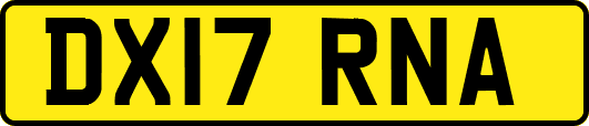 DX17RNA