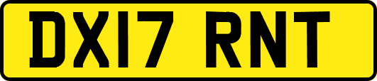 DX17RNT