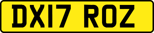 DX17ROZ