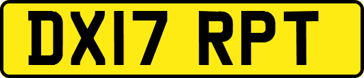 DX17RPT
