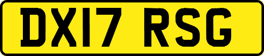 DX17RSG