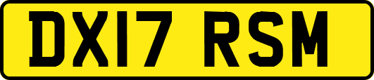DX17RSM