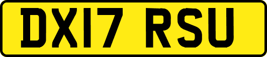 DX17RSU