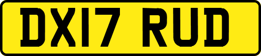 DX17RUD